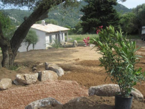 Maison charmante à Figari avec piscine partagée